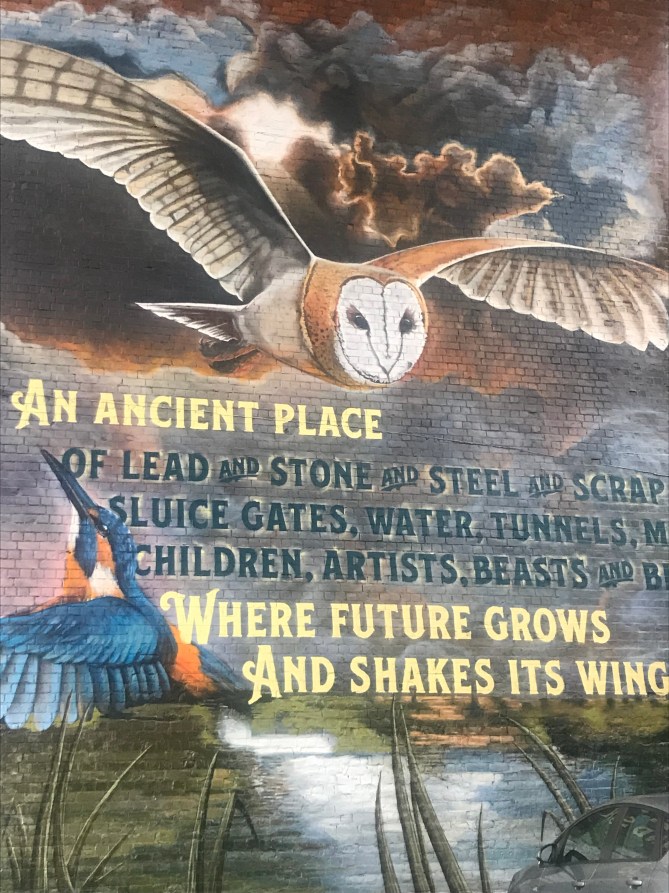 20180613_192339617_iOS