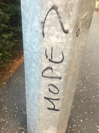 20180716_191302999_iOS