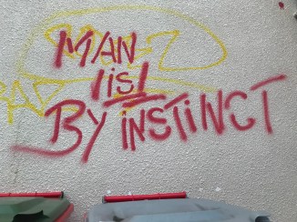 20180830_190750191_iOS 1