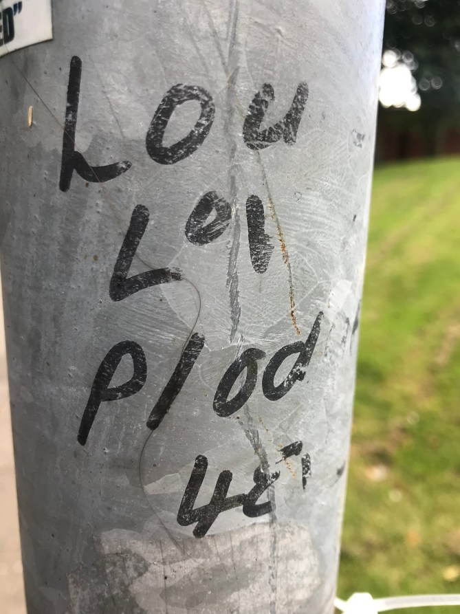 20180909_113040397_iOS