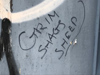 20180909_140707620_iOS