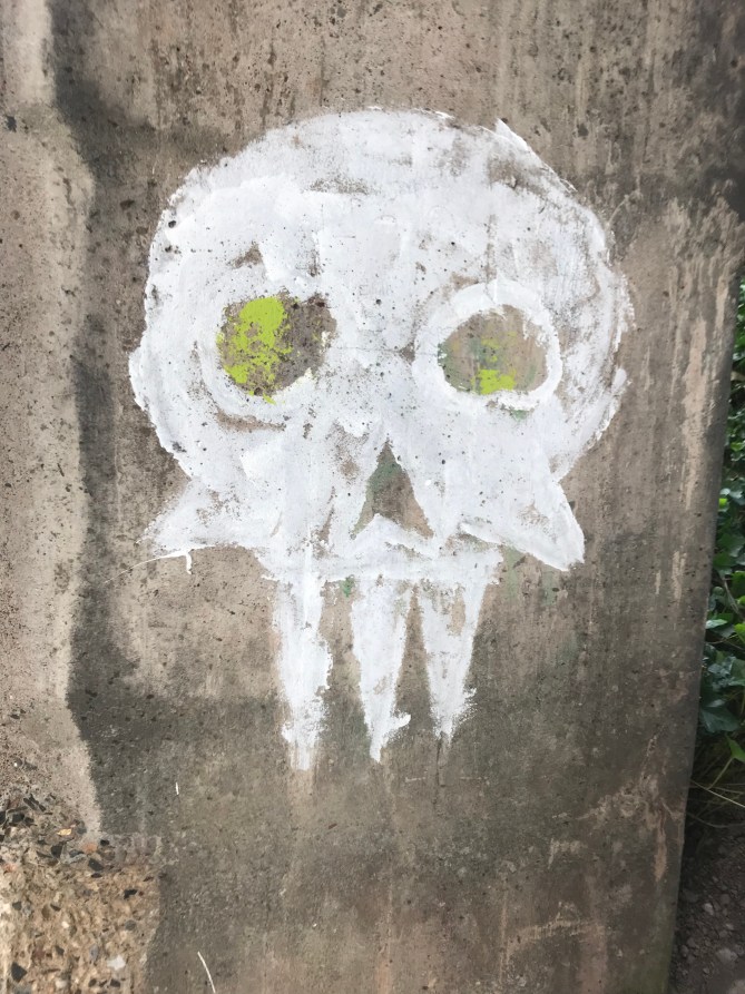 20180919_120629952_iOS