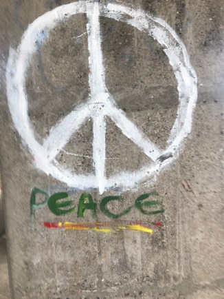 20180919_120638226_iOS