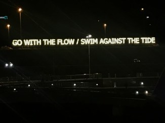 20180919_204537997_iOS