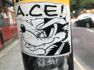 20181010_062542233_iOS