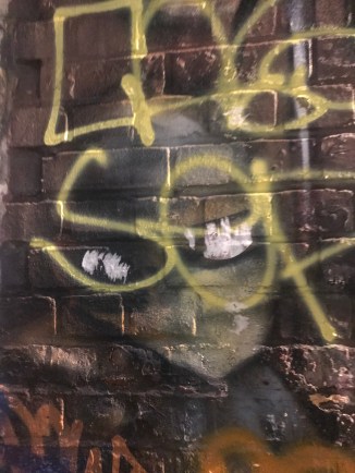 20181113_173208728_iOS