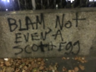 20181113_175555488_iOS