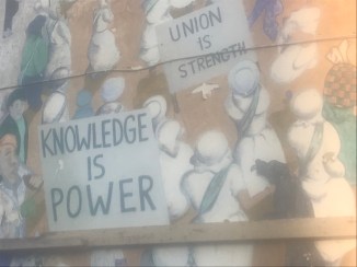 20181117_142437499_iOS