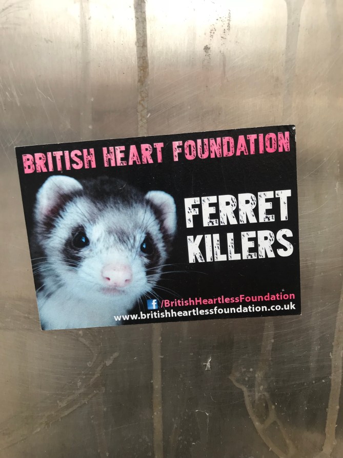 20181125_123856765_iOS