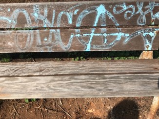 20181206_135907010_iOS