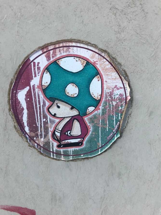 20181206_151634804_iOS