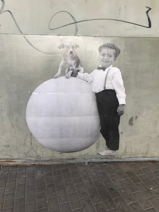 20181206_152639671_iOS