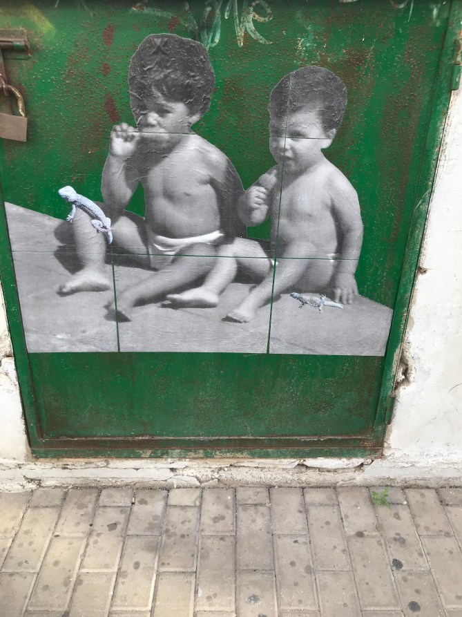 20181206_152730773_iOS