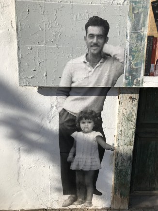 20181206_152954548_iOS