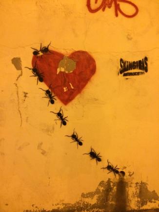 20181208_204017253_iOS