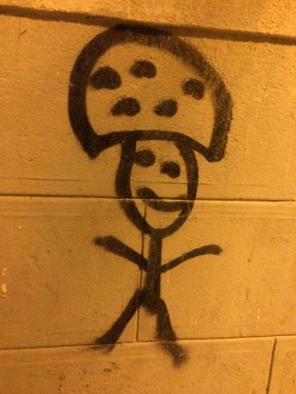 20181208_204017498_iOS