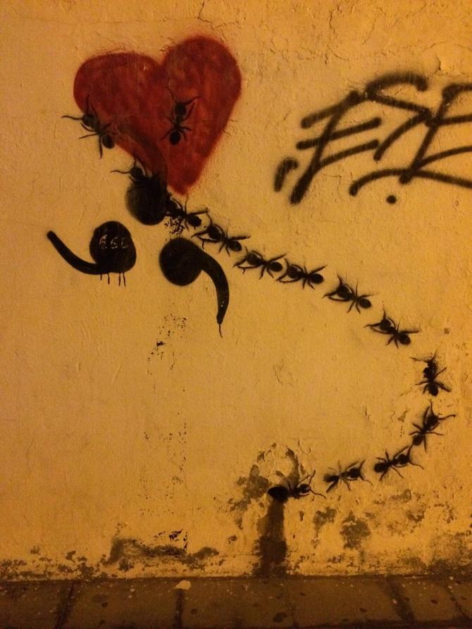 20181208_204018667_iOS