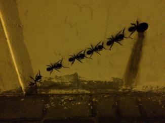 20181208_204022423_iOS