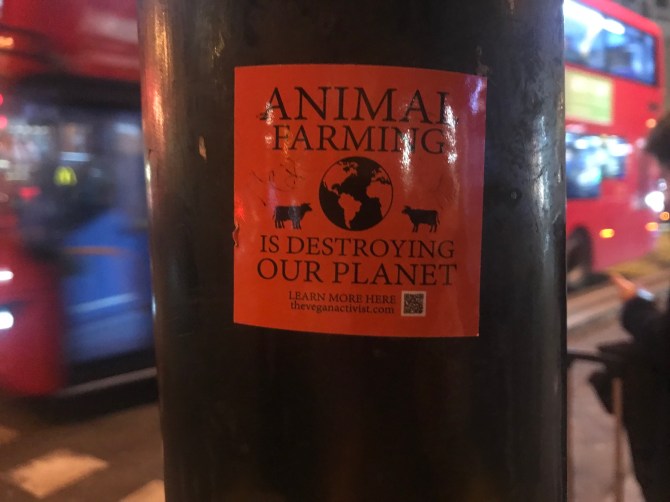 20181211_184802039_iOS