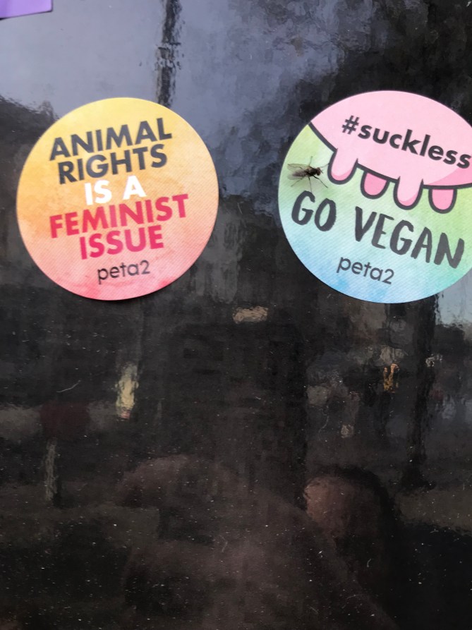 20181216_113256845_iOS