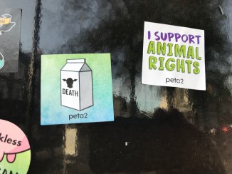 20181216_113302183_iOS