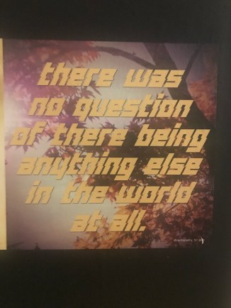 20181222_232802467_iOS