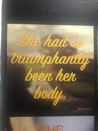 20181222_232809343_iOS