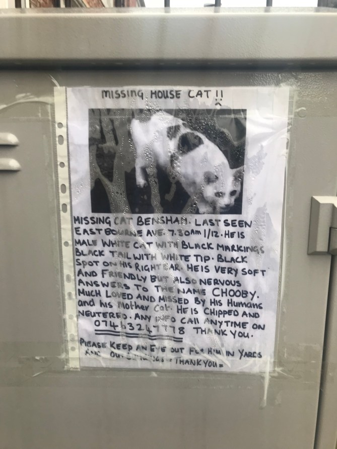 20181223_111038908_iOS