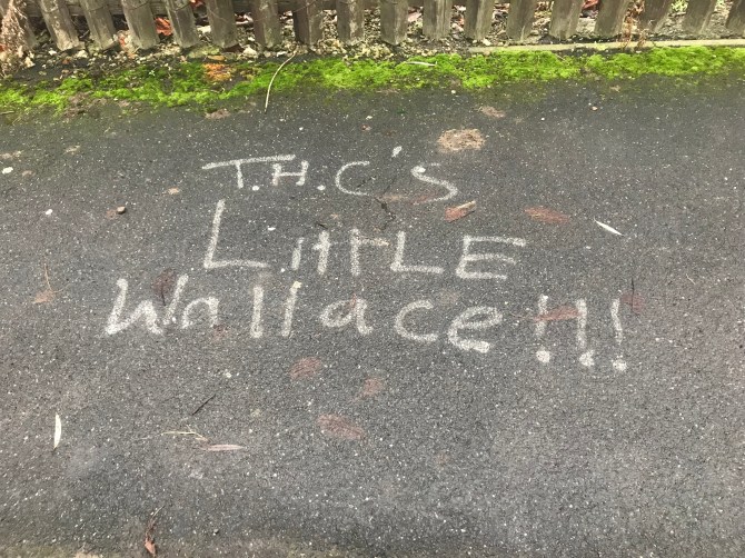 20181223_114517836_iOS