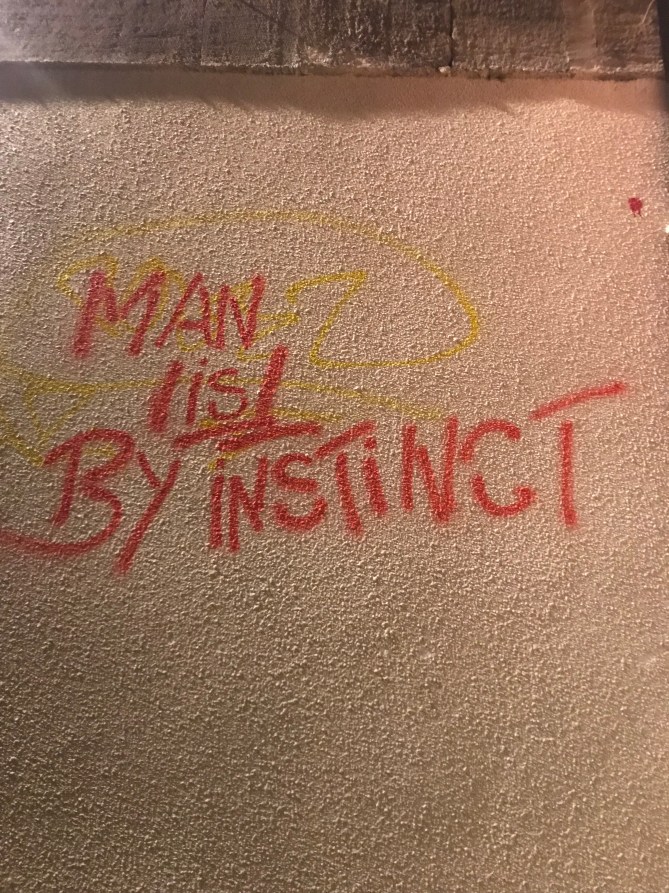 20190113_192031848_ios