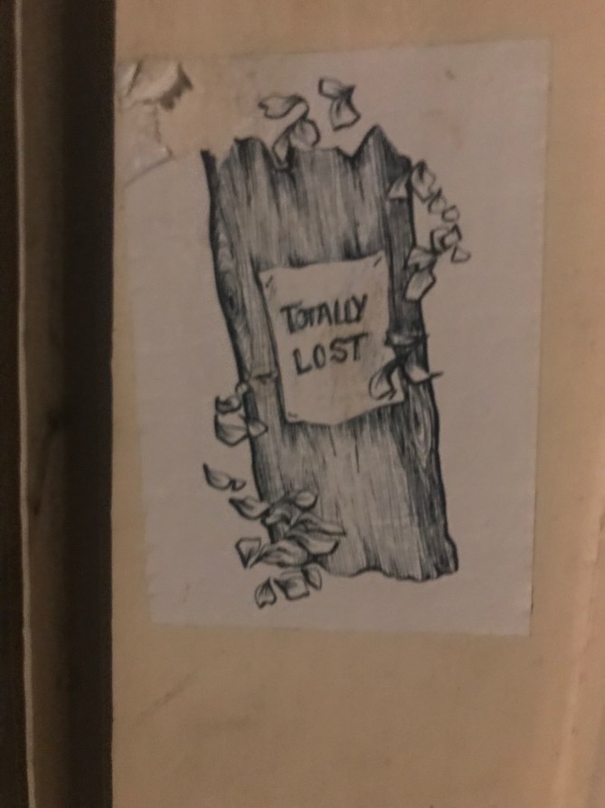 20190113_230336805_ios