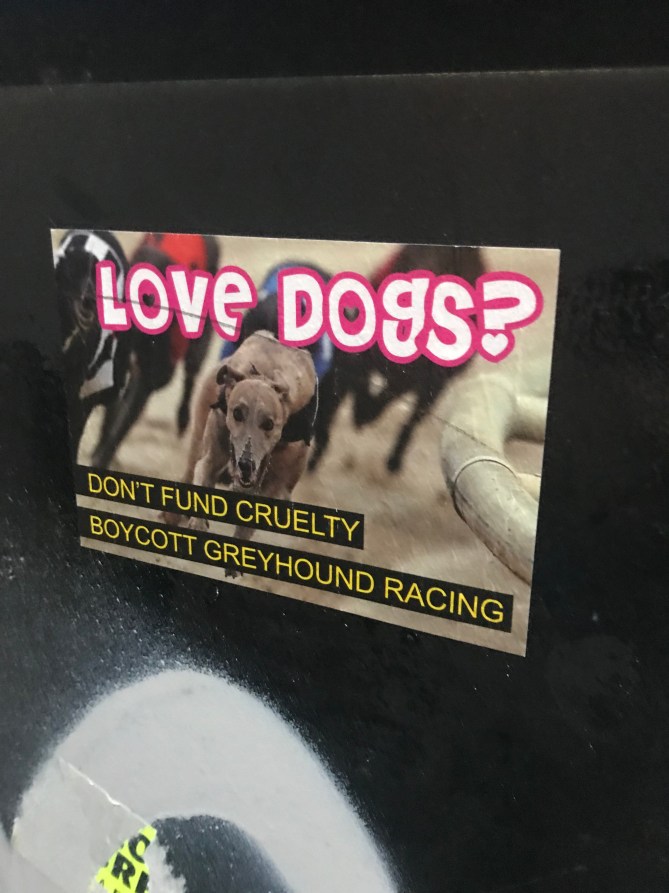 20190119_160734501_ios