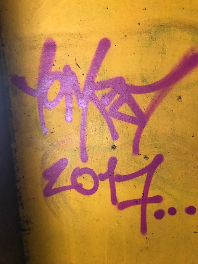 20190203_105400250_iOS