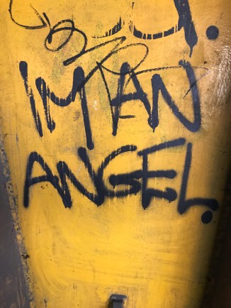 20190203_105404440_iOS