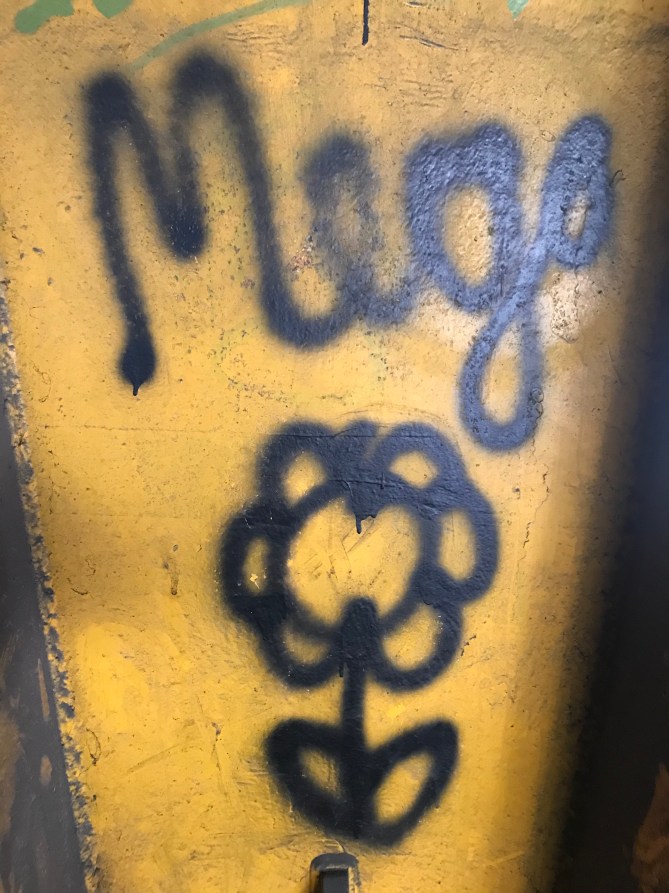 20190203_105434859_iOS