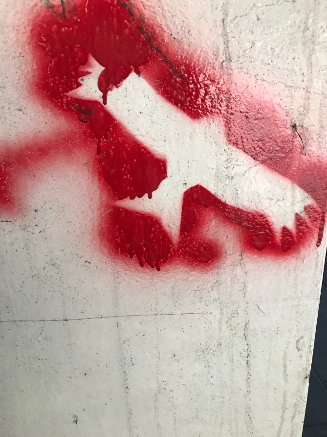 20190203_105508035_iOS