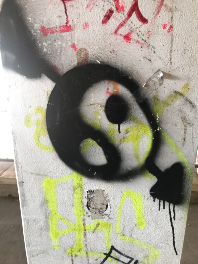 20190203_105541599_iOS