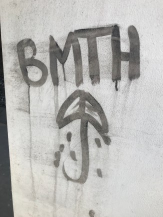 20190203_105615896_iOS