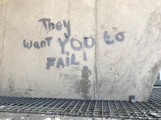 20190203_105629794_iOS