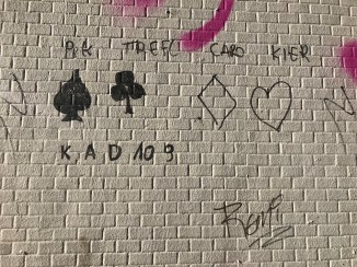 20190203_110429621_iOS