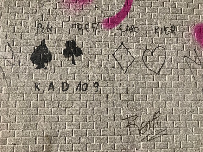 20190203_110429621_iOS