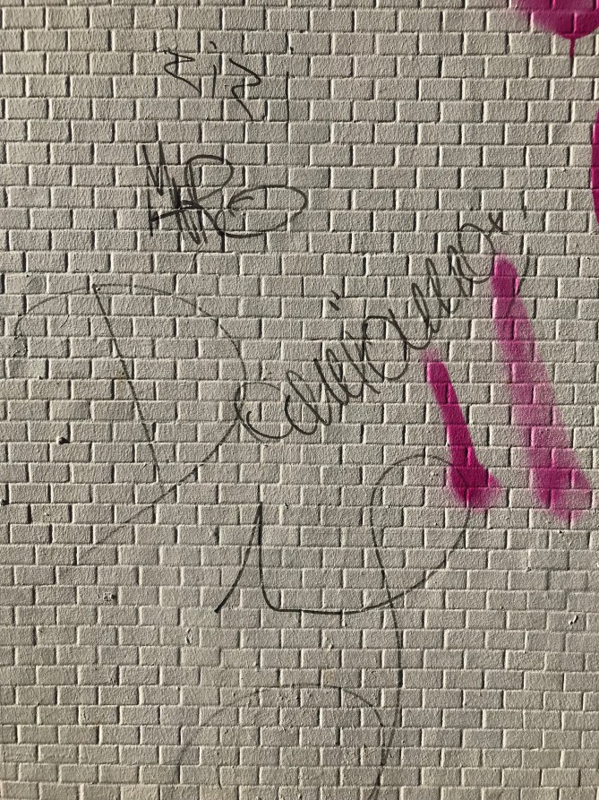 20190203_110435260_iOS