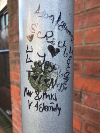 20190203_114528231_iOS