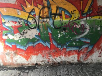 20190203_114554786_iOS