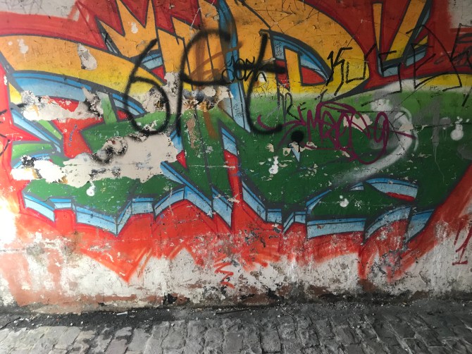 20190203_114554786_iOS