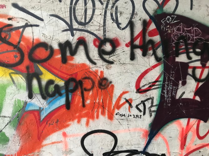 20190203_114601799_iOS