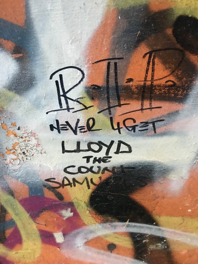 20190203_114612099_iOS