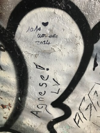 20190203_114643736_iOS