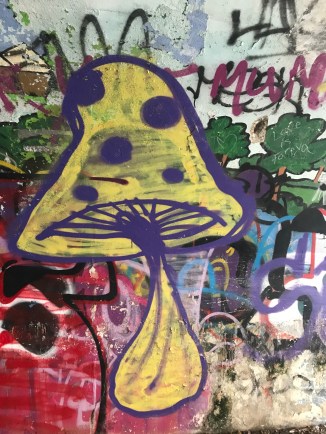 20190203_114657257_iOS