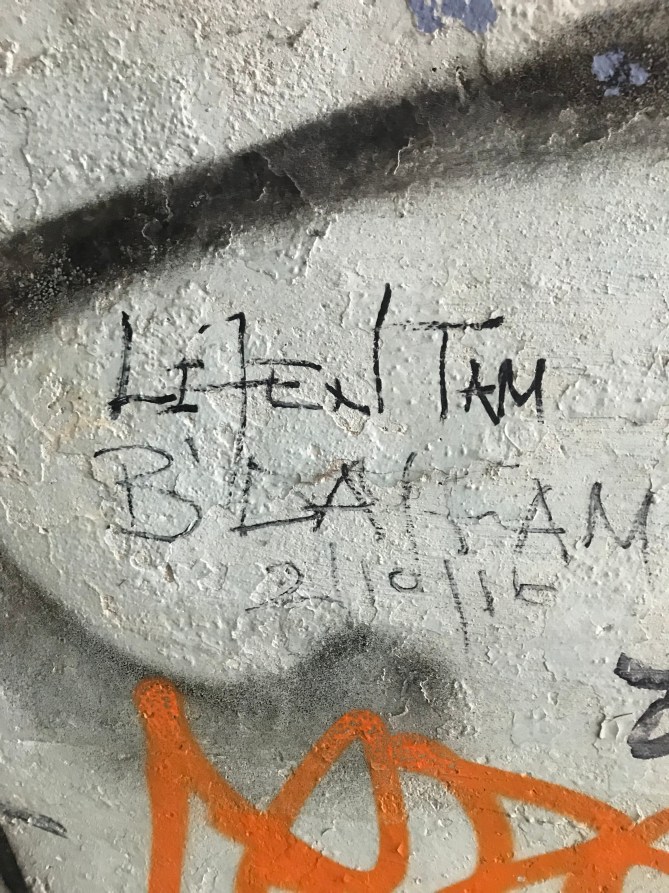 20190203_114701362_iOS